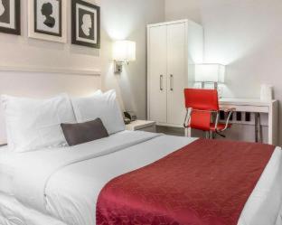 Suite interior